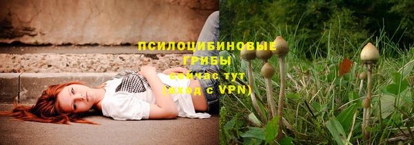 крисы Навашино
