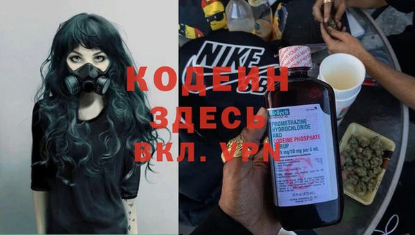 шишки Медногорск